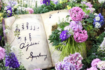 そらみるピアノ教室